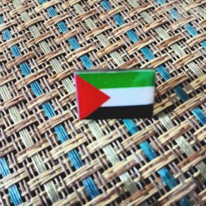 Palestine Pin