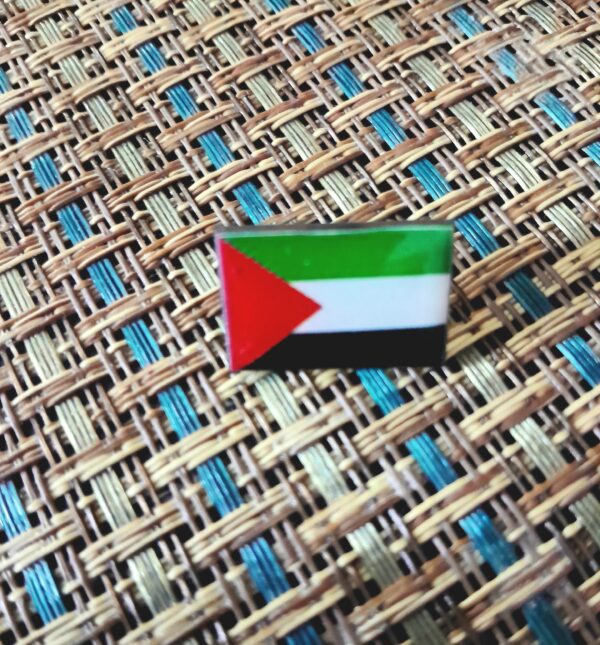 Palestine Pin