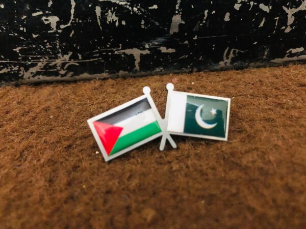 Palestine x Pakistan Flags - Image 2
